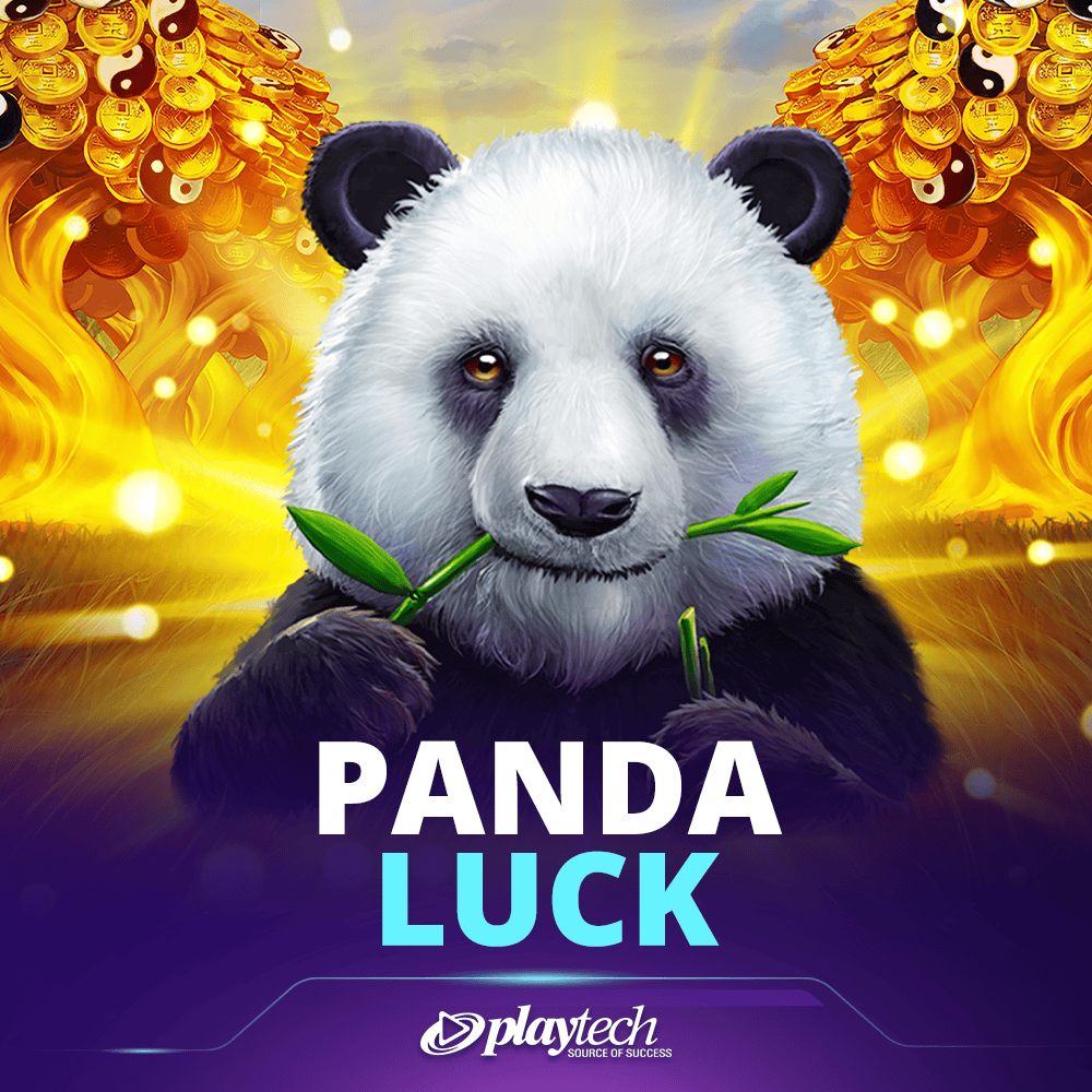 Panda Luck 鸿运熊猫
