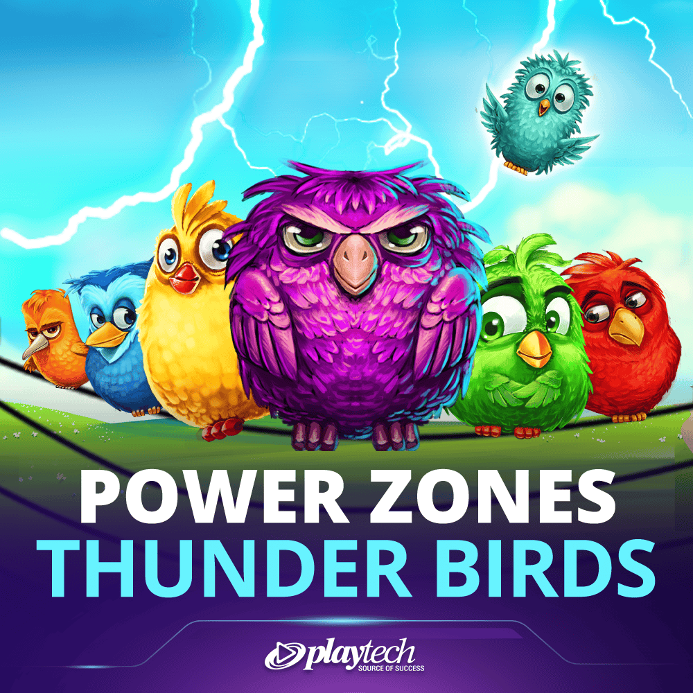 Power Zones™: Thunder Birds 能量区域™：雷鸟