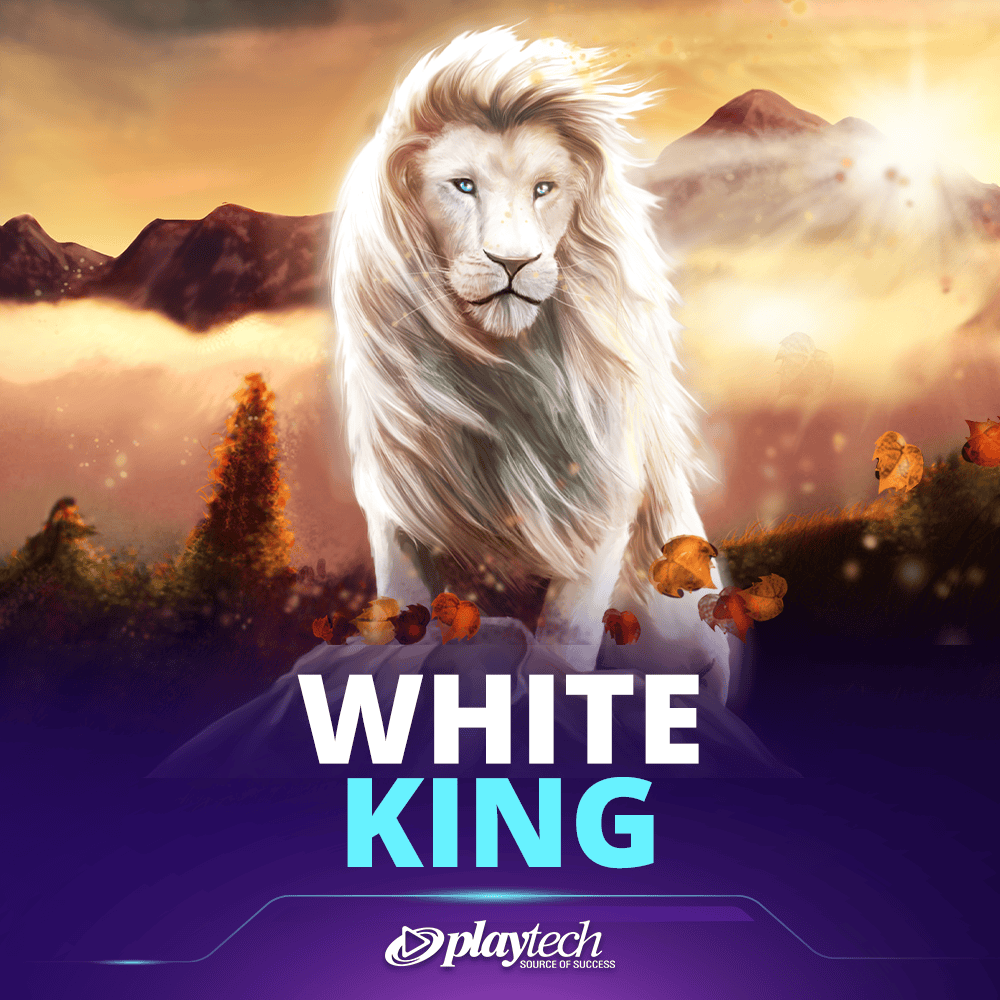 White King 坏特王